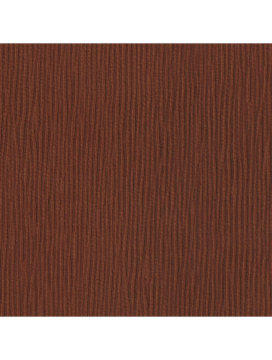 Échantillon de matériau de rouille de Paris