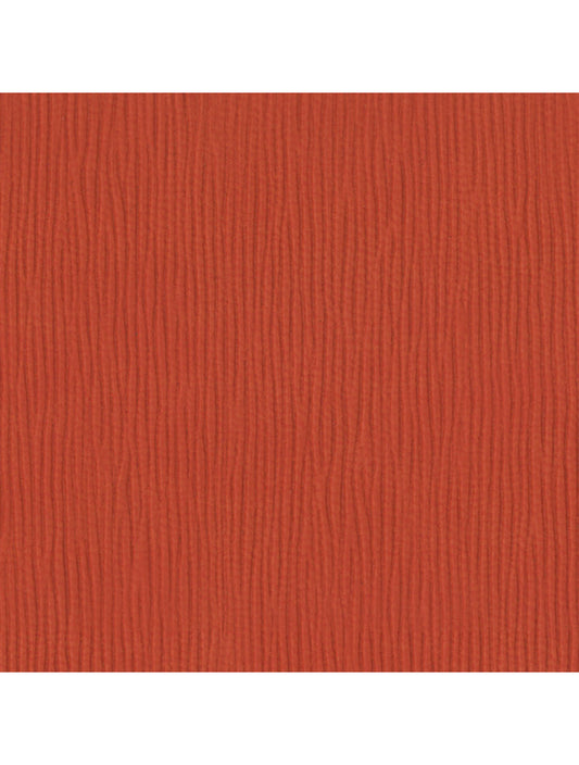 Échantillon de matériau de citrouille Paris