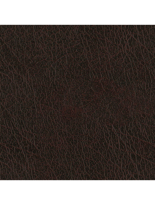 Échantillon de matériau brun de New Delhi