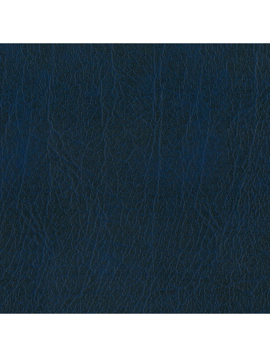 Swatch du matériau de la marine de New Delhi