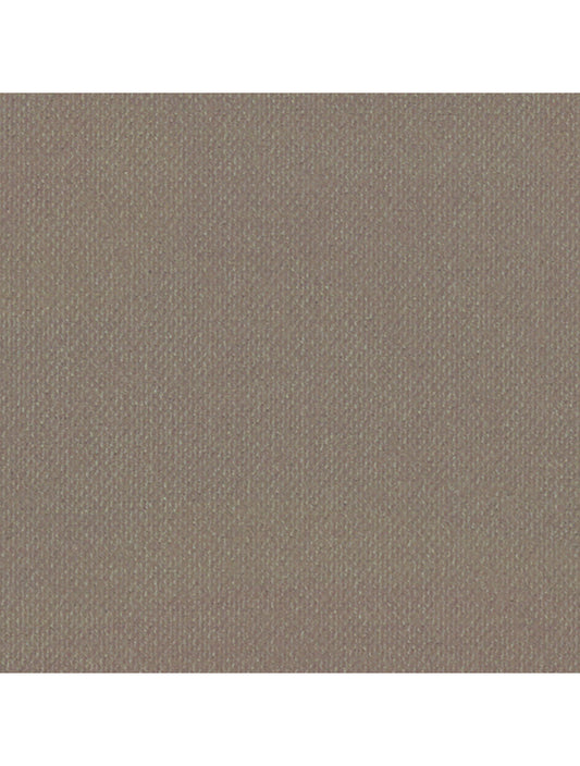 Échantillon de matériel beige métallique londonien