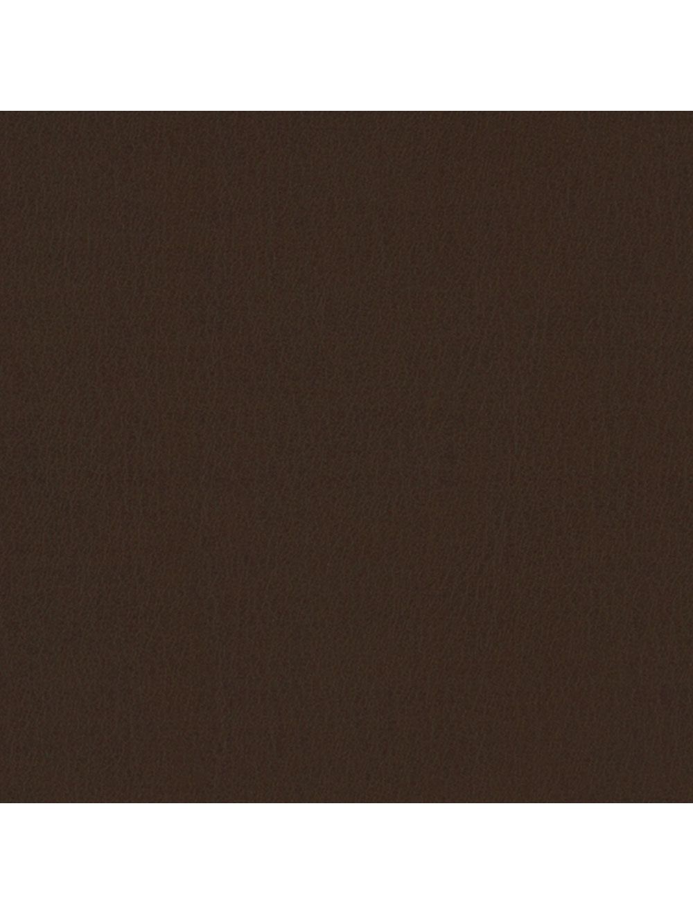Échantillon de matériau au chocolat de Tokyo