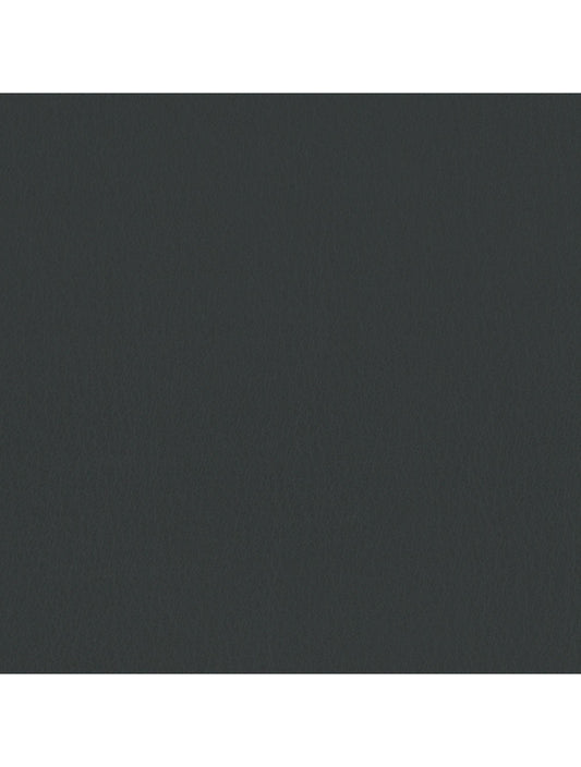 Échantillon de matériau gunmetal de Tokyo