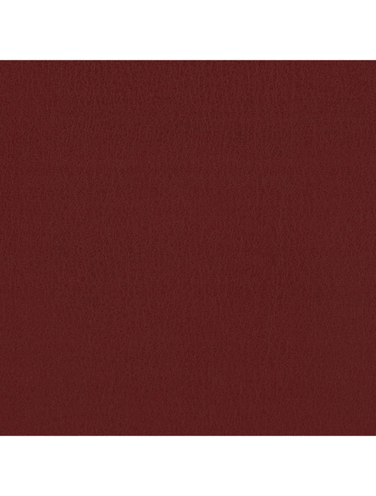 Échantillon de matériau de fraise Tokyo