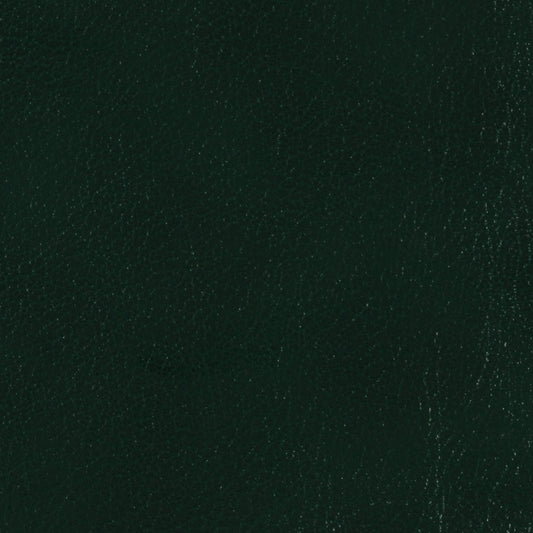 Échantillon de matériau en pin d'Edinburgh