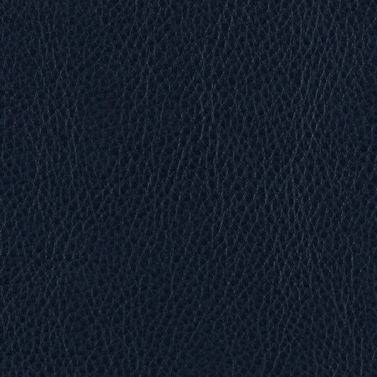 Échantillon de matériaux marins de Zurich